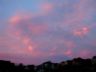 Sunset Scene